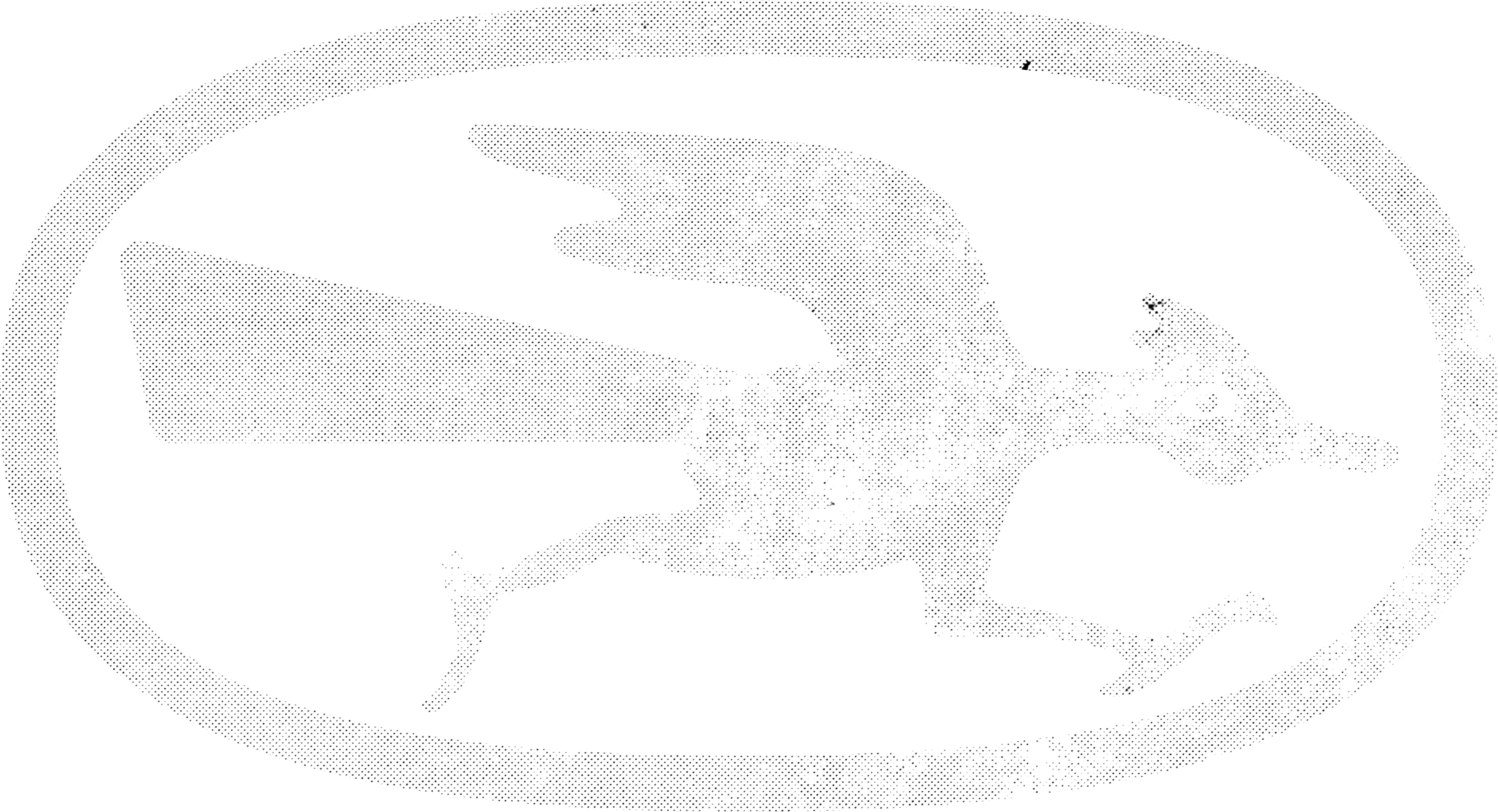 Roadie Bird